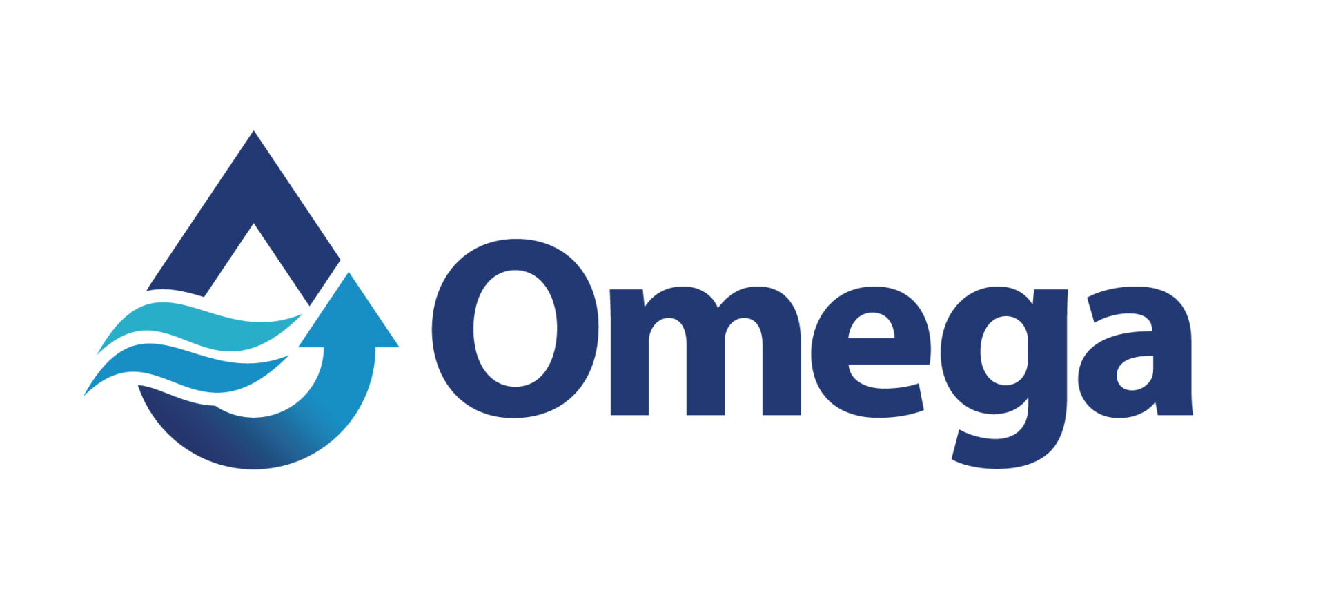Omega_LWS_Logo_2022_COULEUR